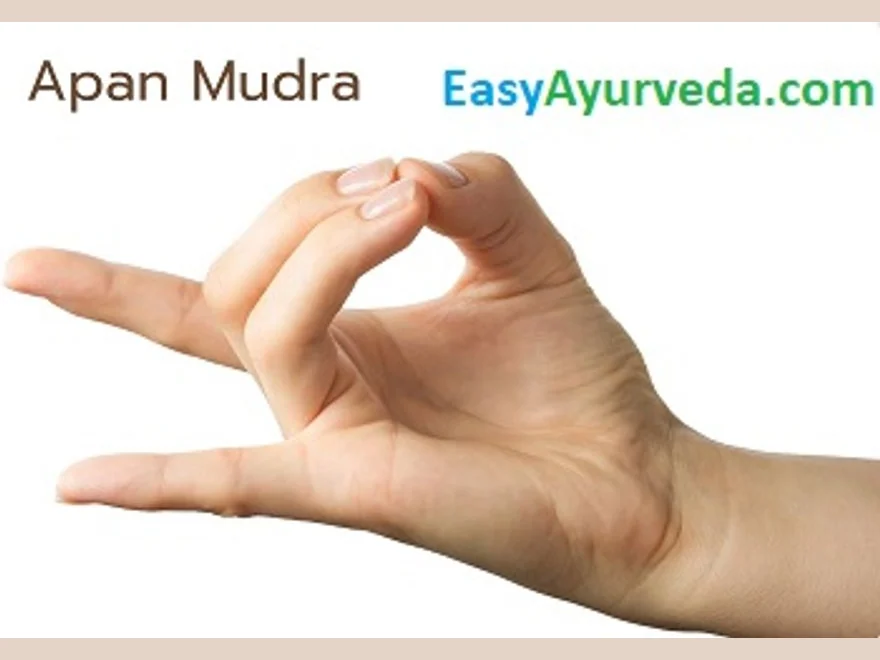 Apana (Apana Mudra) — photograph