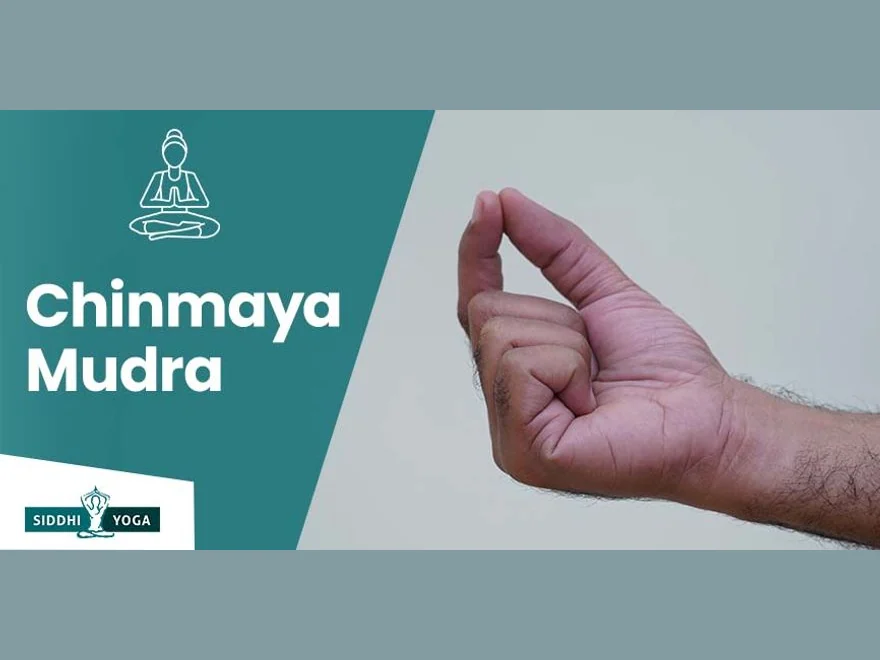 Awareness Gesture (Chinmaya Mudra) — photograph