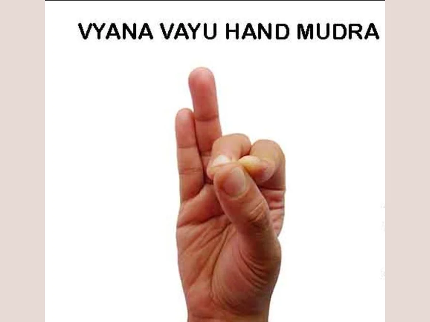 Circulatory Gesture (Vyana Mudra) — photograph