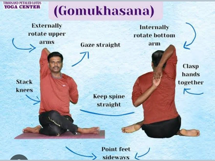 Cow Face Pose (Gomukhasana) — photograph