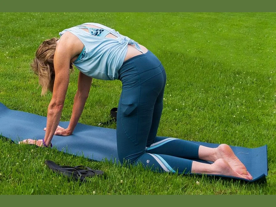 Cow Pose (Bitilasana) — photograph