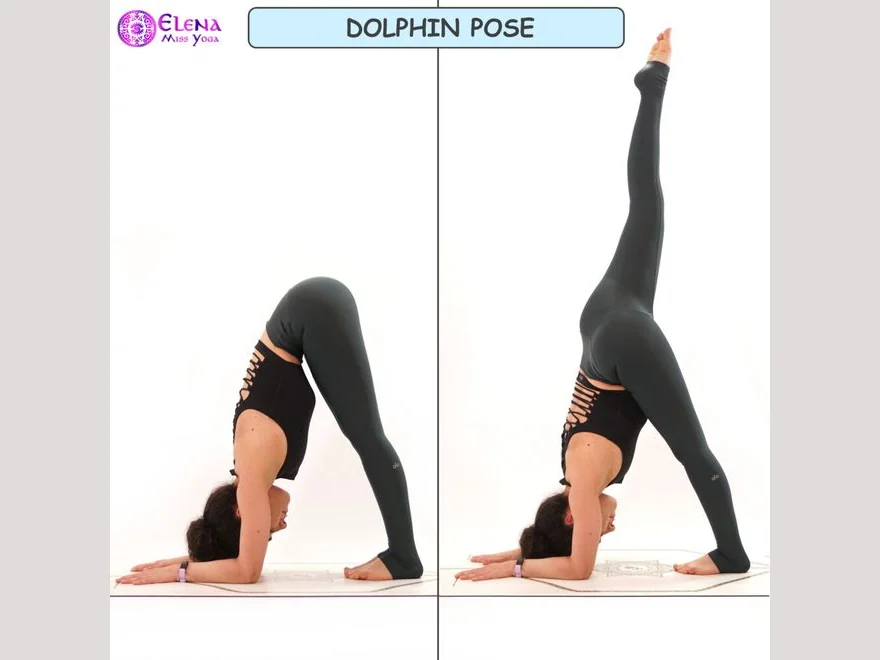 Dolphin Pose (Dolphin) — photograph