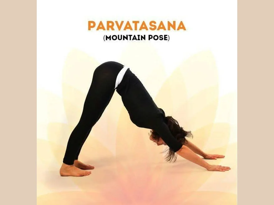 Downward Dog Pose (Parvathasana) — photograph