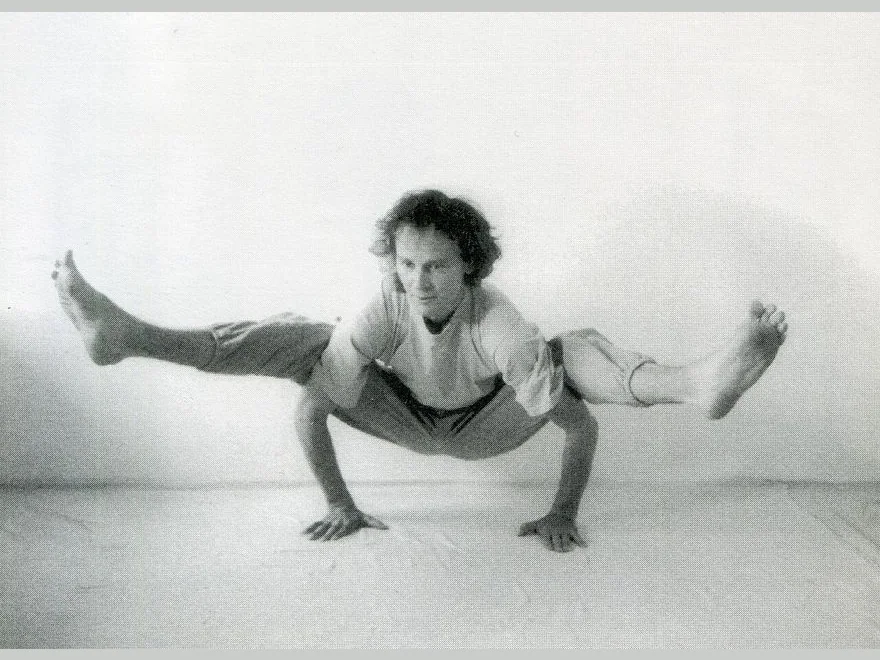 Firefly Pose (Tittibhasana) — photograph