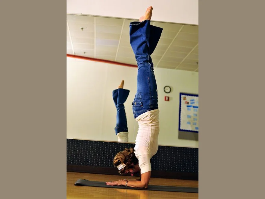 Forearm Stand Prep (Pincha Mayurasana Prep) — photograph