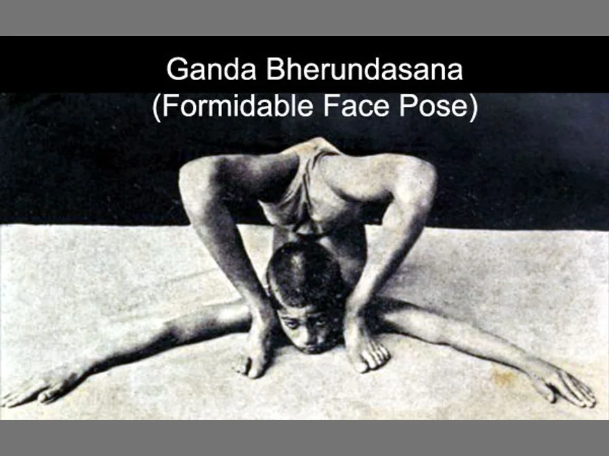 Formidable Face Prep (Ganda Bherundasana Prep) — photograph
