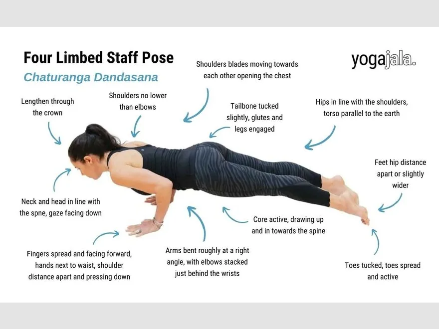Four-Limbed Staff Prep (Chaturanga Prep) — photograph