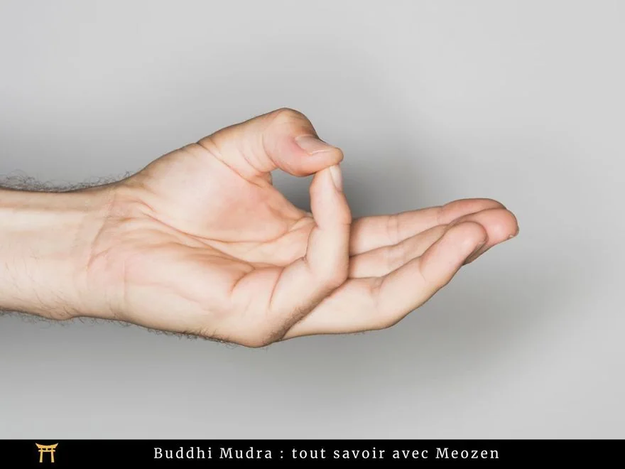 Intellect Gesture (Buddhi Mudra) — photograph
