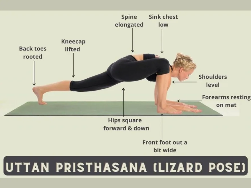 Lizard Pose (Utthan Pristhasana) — photograph