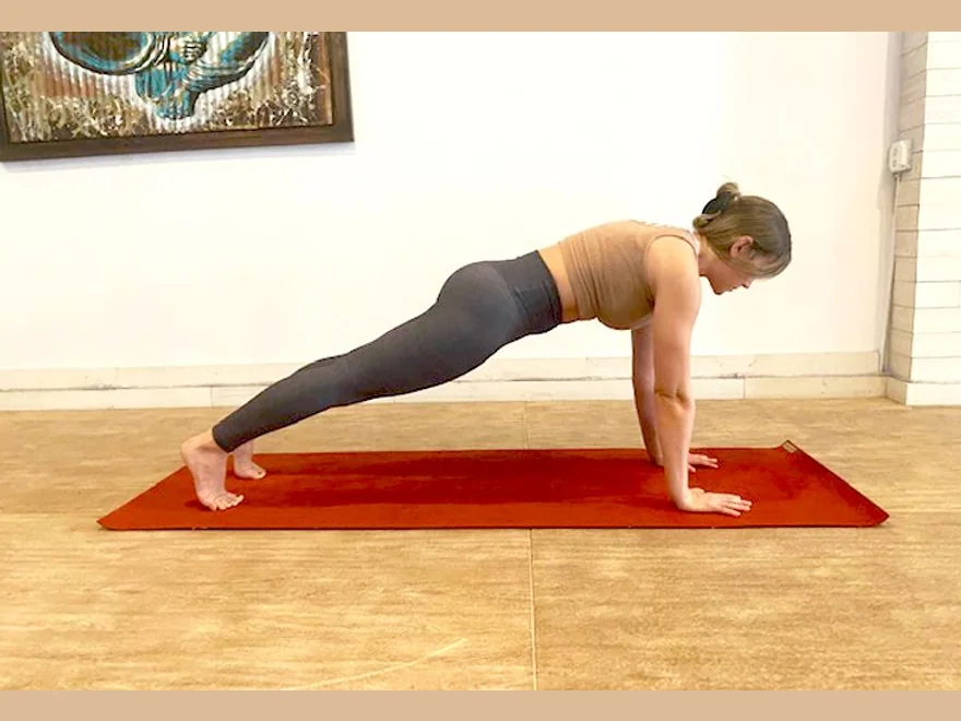 Plank Pose (Kumbhakasana) — photograph