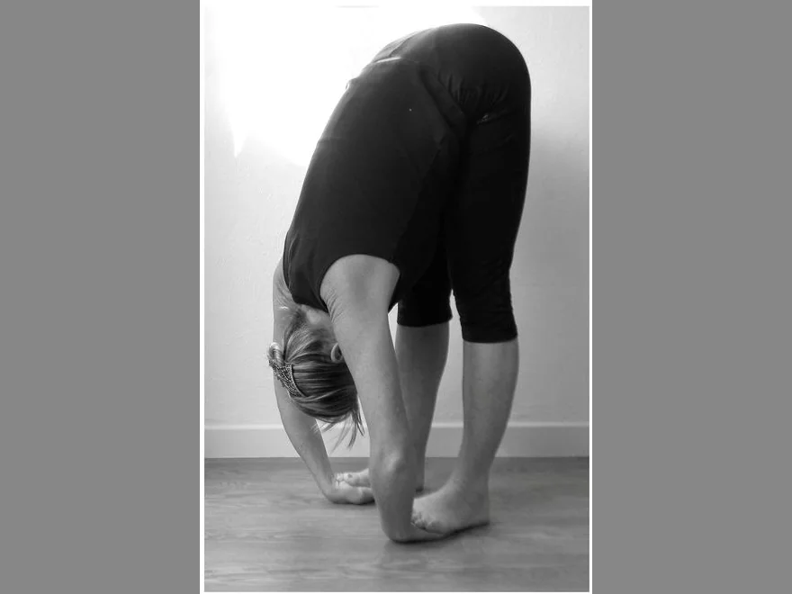Standing Forward Fold (Padahastasana) — photograph