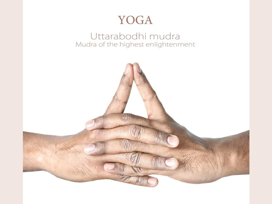 Supreme Enlightenment Gesture (Uttarabodhi Mudra) — photograph
