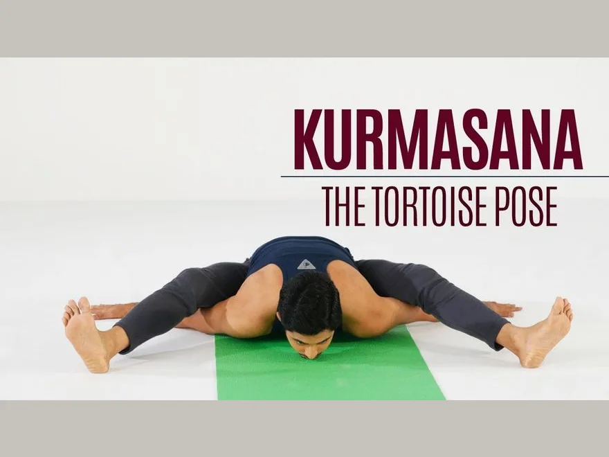 Tortoise Prep (Kurmasana Prep) — photograph
