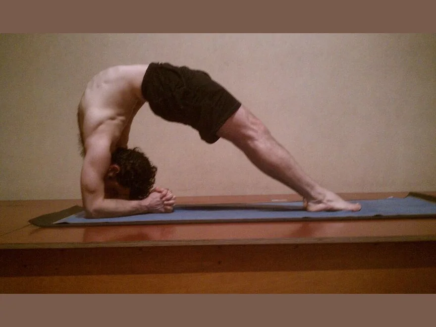 Two-Legged Inverted Staff (Dwi Pada Viparita Dandasana) — photograph