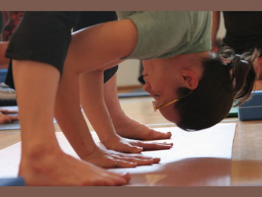 Wide-Leg Forward Bend (Prasarita Padottanasana) — photograph
