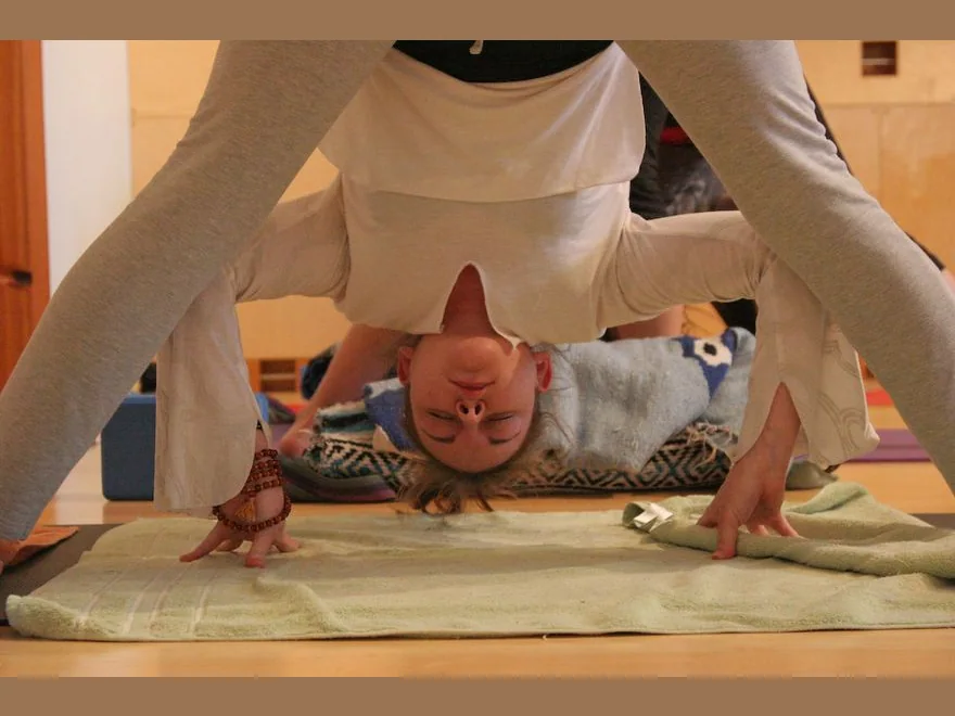 Wide-Legged Forward Fold (Prasarita Padottanasana) — photograph